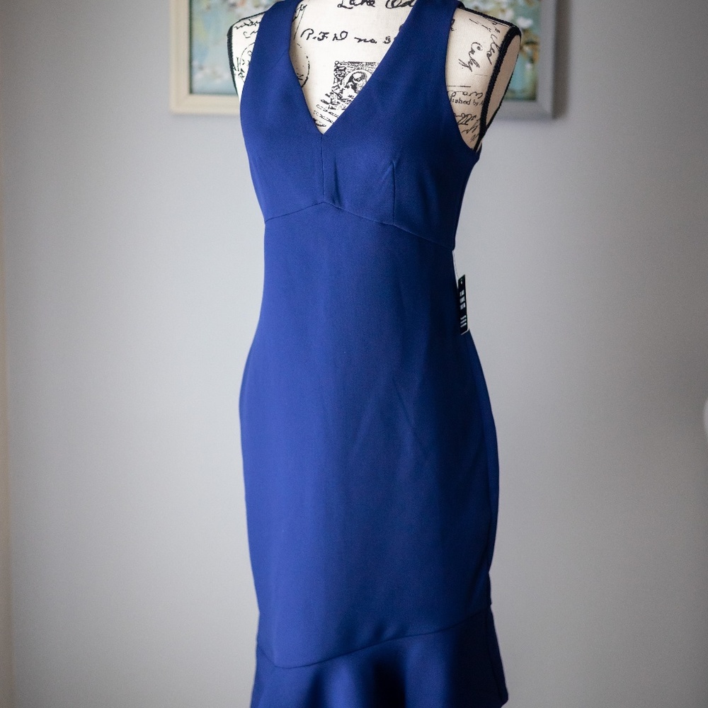 EXPRESS V-NECK SLEEVELESS DRESS 4